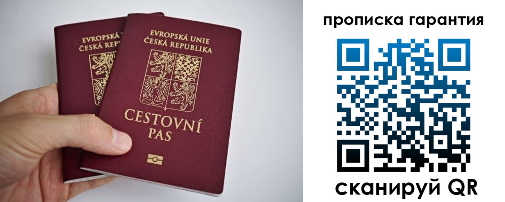 прописка в Дубне